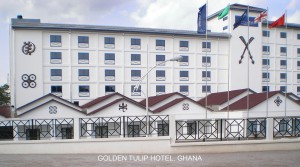 Golden tulip2