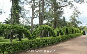 aburi-gardens